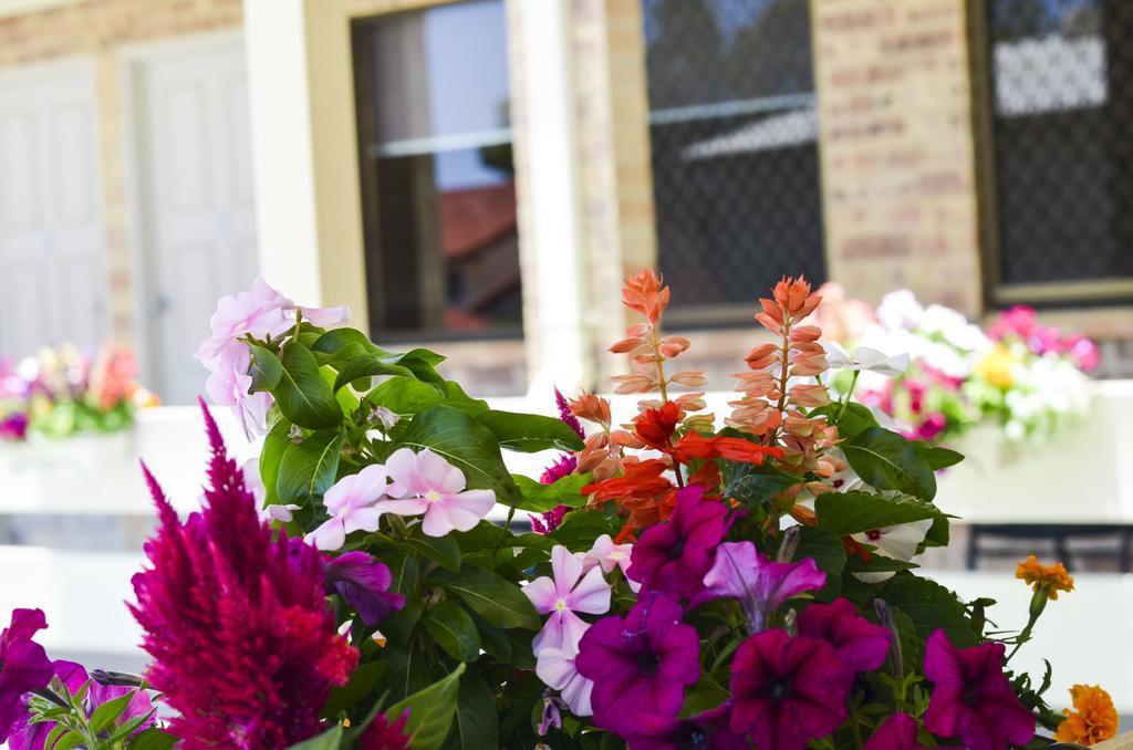 Golden Beach Motor Inn, Caloundra Dış mekan fotoğraf